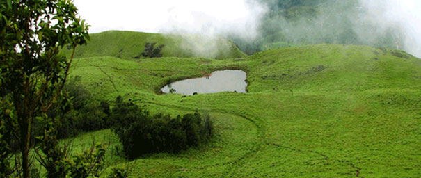 wayanad-2.jpg?profile=RESIZE_710x