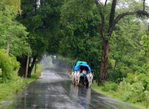 Seasons in India-Different Types of Seasons in India