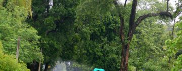 Thailand Tour Packages from Kerala –6 Days Cheapest